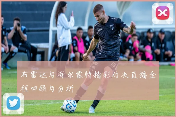 布雷达与海尔蒙特精彩对决直播全程回顾与分析