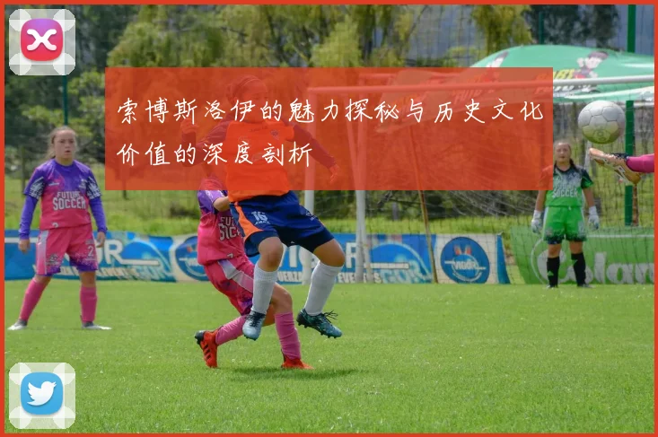 索博斯洛伊的魅力探秘与历史文化价值的深度剖析